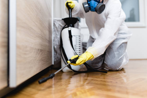 Best Mosquito Control Services  in Pecatonica, IL