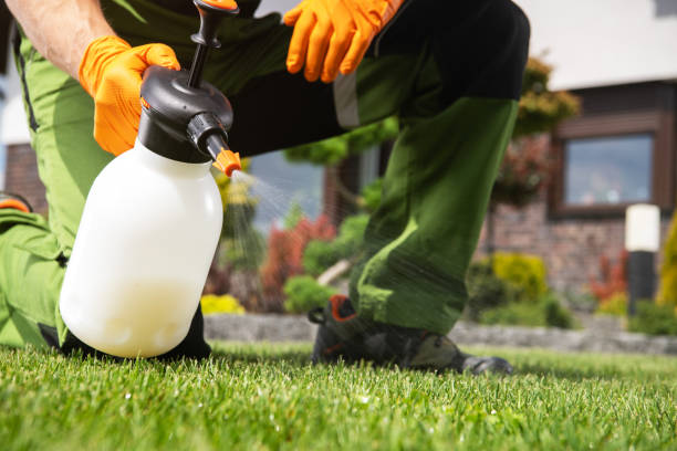 Best Commercial Pest Control Services  in Pecatonica, IL