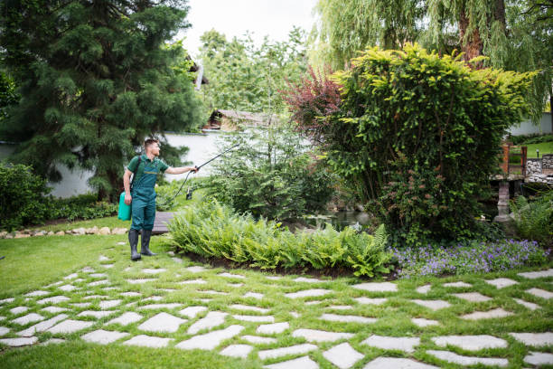 Best Best Pest Control Companies  in Pecatonica, IL