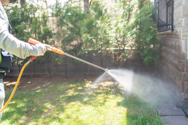 Best Local Pest Control Services  in Pecatonica, IL