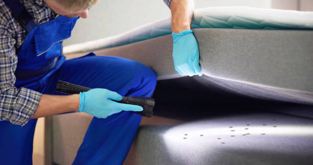 Best Best Pest Control Companies  in Pecatonica, IL