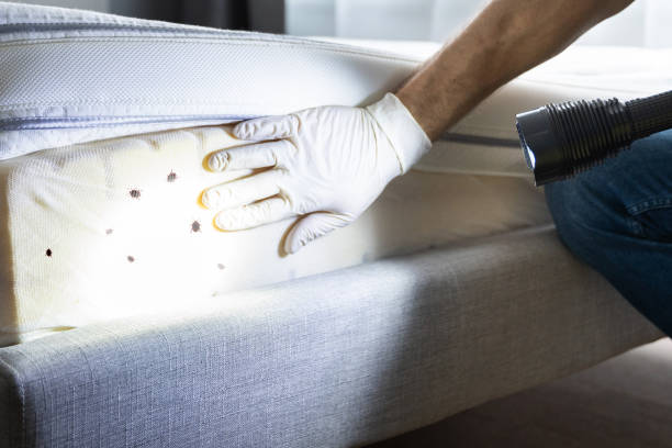 Best Best Pest Control Companies  in Pecatonica, IL