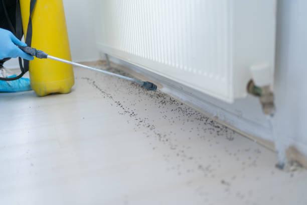 Pest Prevention Services in Pecatonica, IL