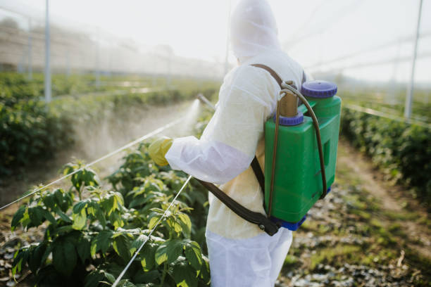Best Cockroach Control Services  in Pecatonica, IL